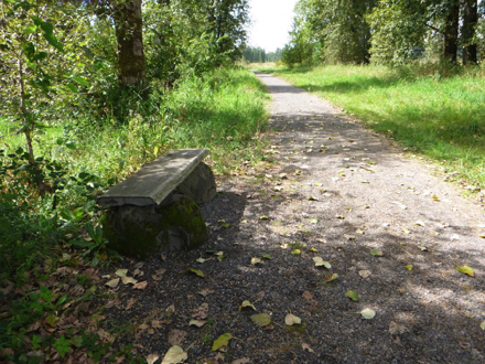 Bench on the seasonal wetland trail – trail is closed October 1 through April 30 for bird migration